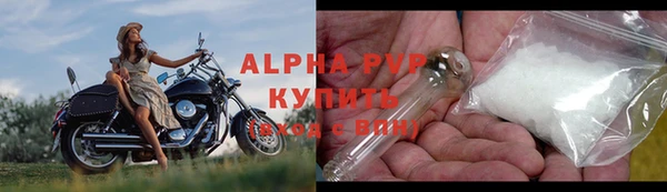 спиды Покачи