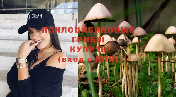 синтетический гашиш Покровск