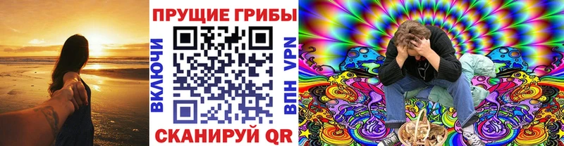 гидра как войти Сковородино Галлюциногенные грибы MAGIC MUSHROOMS