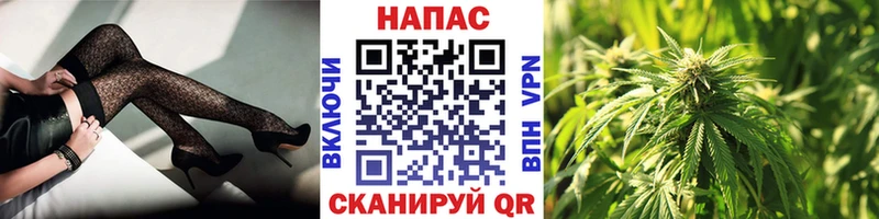 Шишки марихуана сатива  Сковородино 